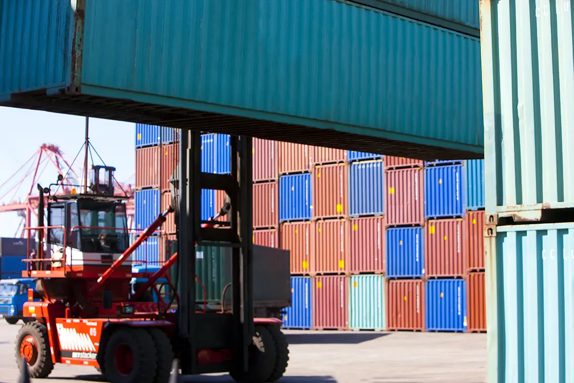 The Challenge of Import Dependency